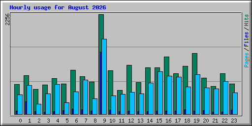 Hourly usage for August 2026